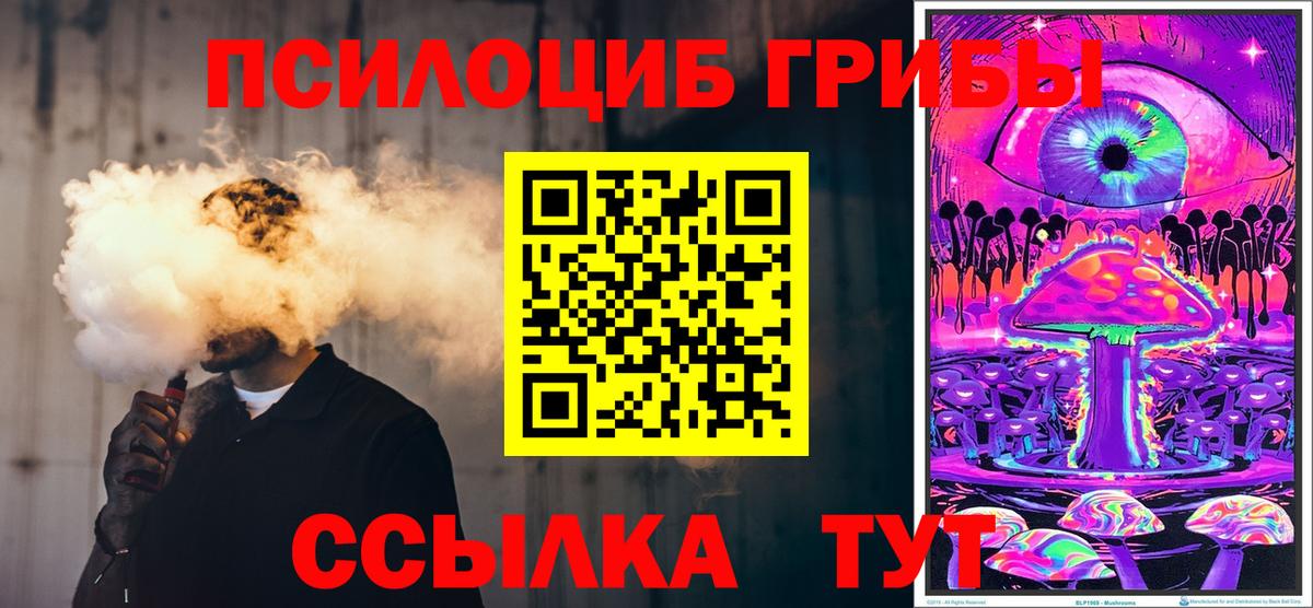 Псилоцибиновые грибы Cubensis Лесной
